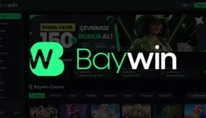 Baywin